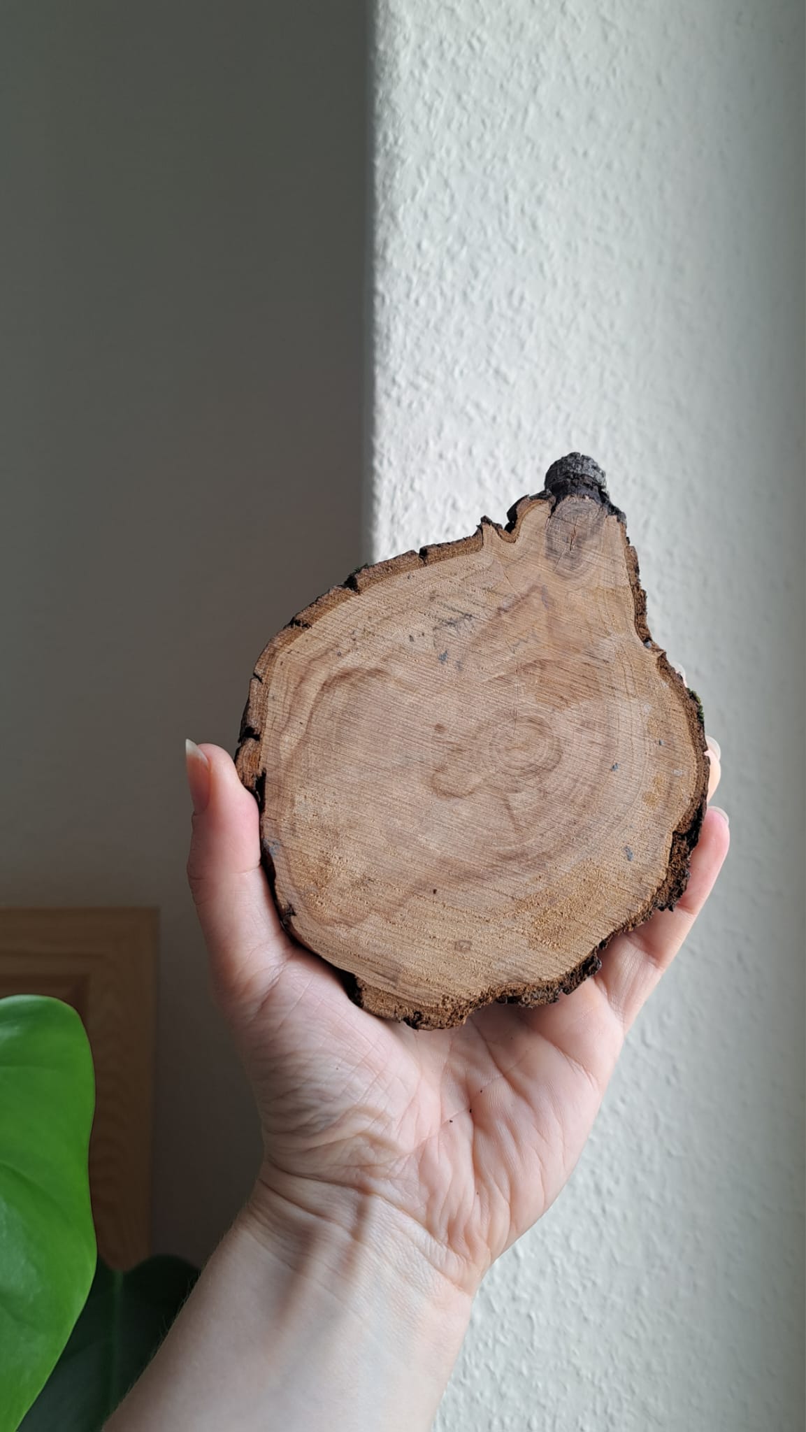 Flower Coaster | Reclaimed Wood & Glass Mosaic